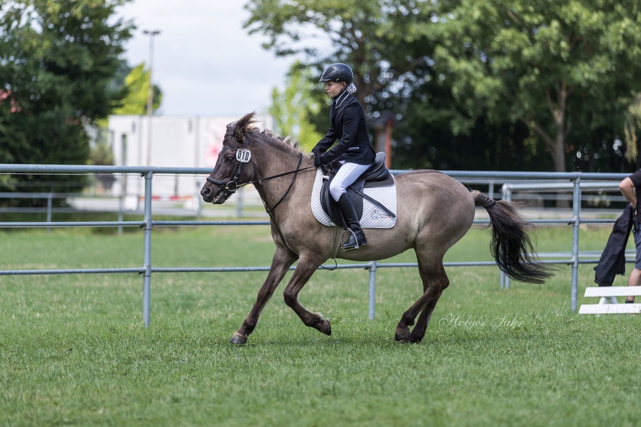 Bild 39 - Pony Akademie Turnier